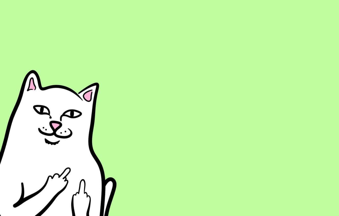 Eineweiße Katze Mit Einem Nach Oben Gestreckten Finger Auf Einem Grünen Hintergrund. Wallpaper