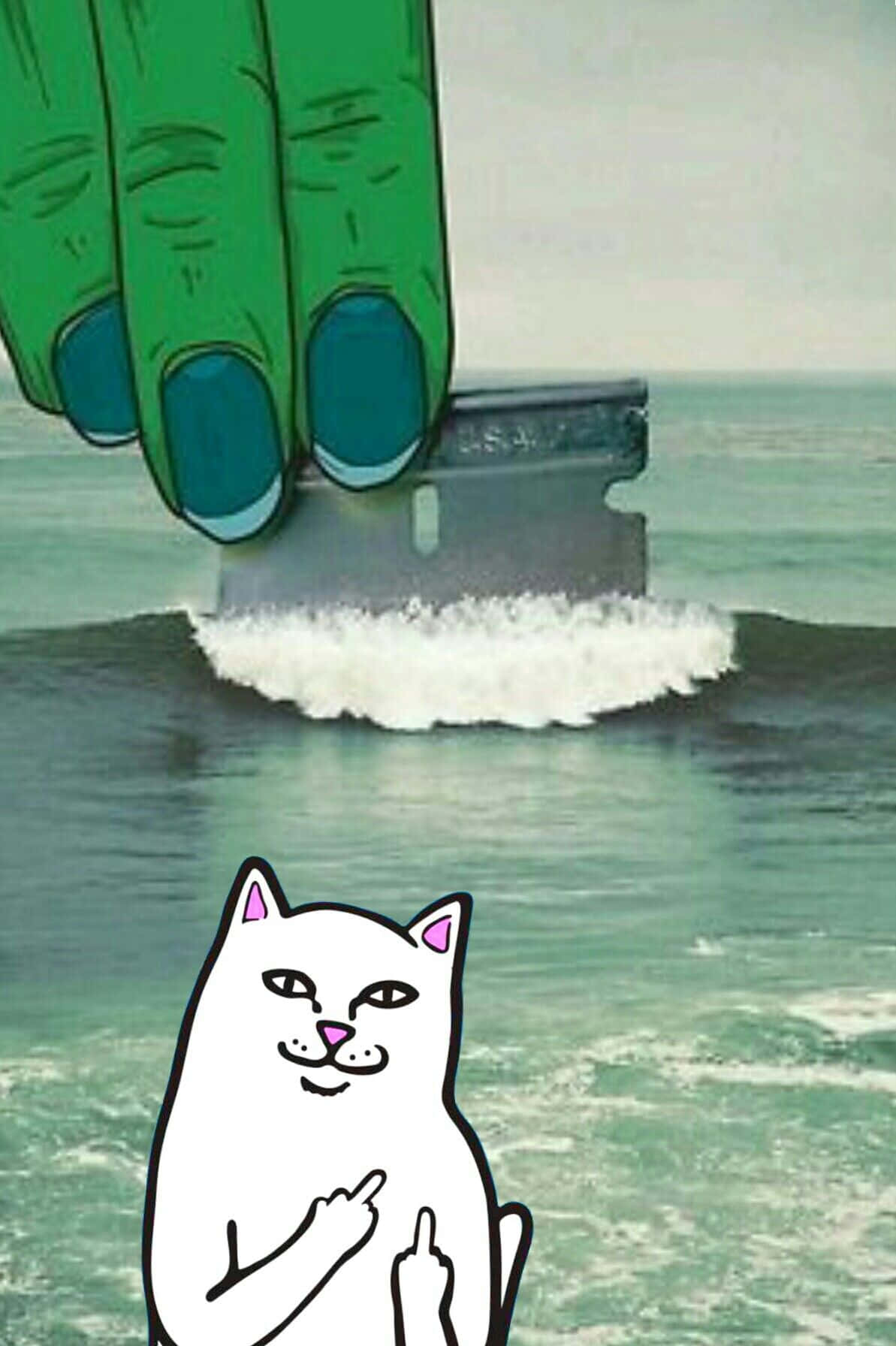 Who else but RIPNDIP is always here to brighten your day? Wallpaper