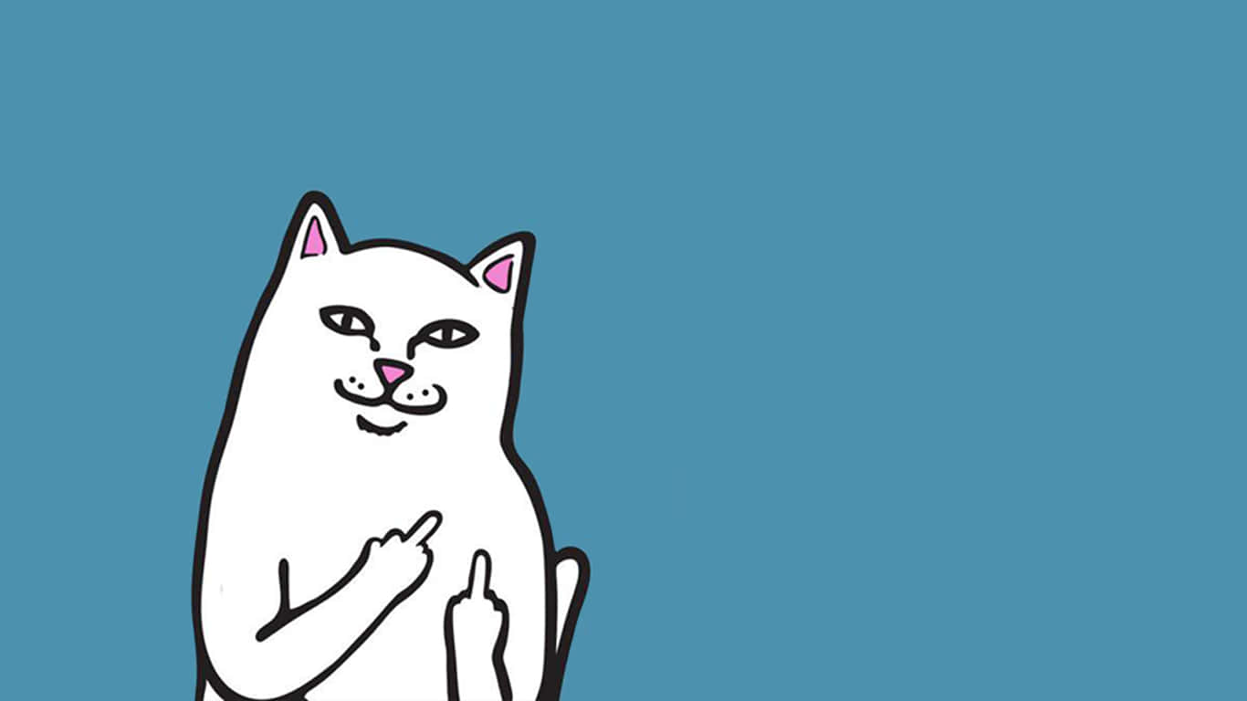 A White Cat Is Sitting On A Blue Background Wallpaper