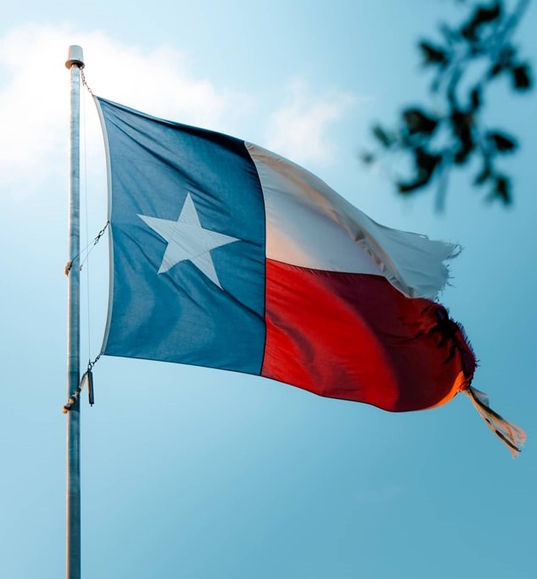 Ripped Texas Flag Wallpaper