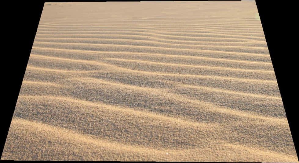 Rippled Sand Dunes Texture PNG
