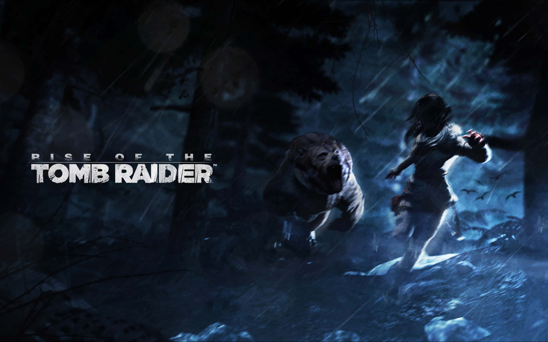 Laracroft Vågar Sig Ner I Iskalla Djup I Rise Of The Tomb Raider.