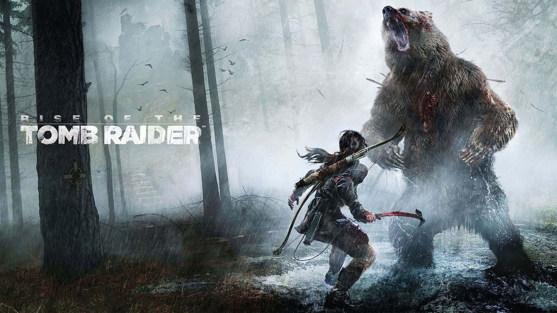 'laracroft In Aktion Im Spiel Rise Of The Tomb Raider' Wallpaper