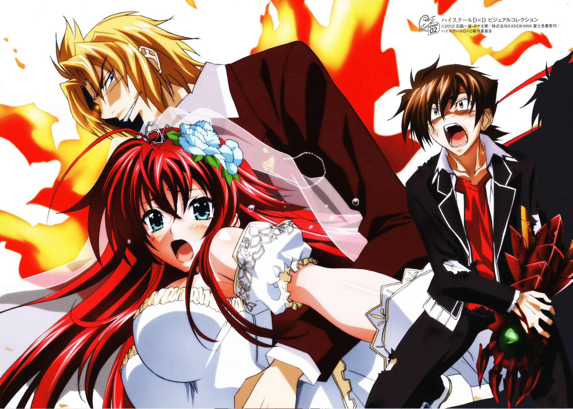 Riser dxd