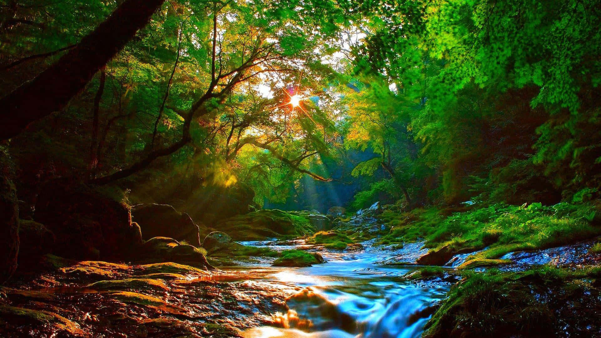 River And Forest Nature Art Painting Wallpaper
