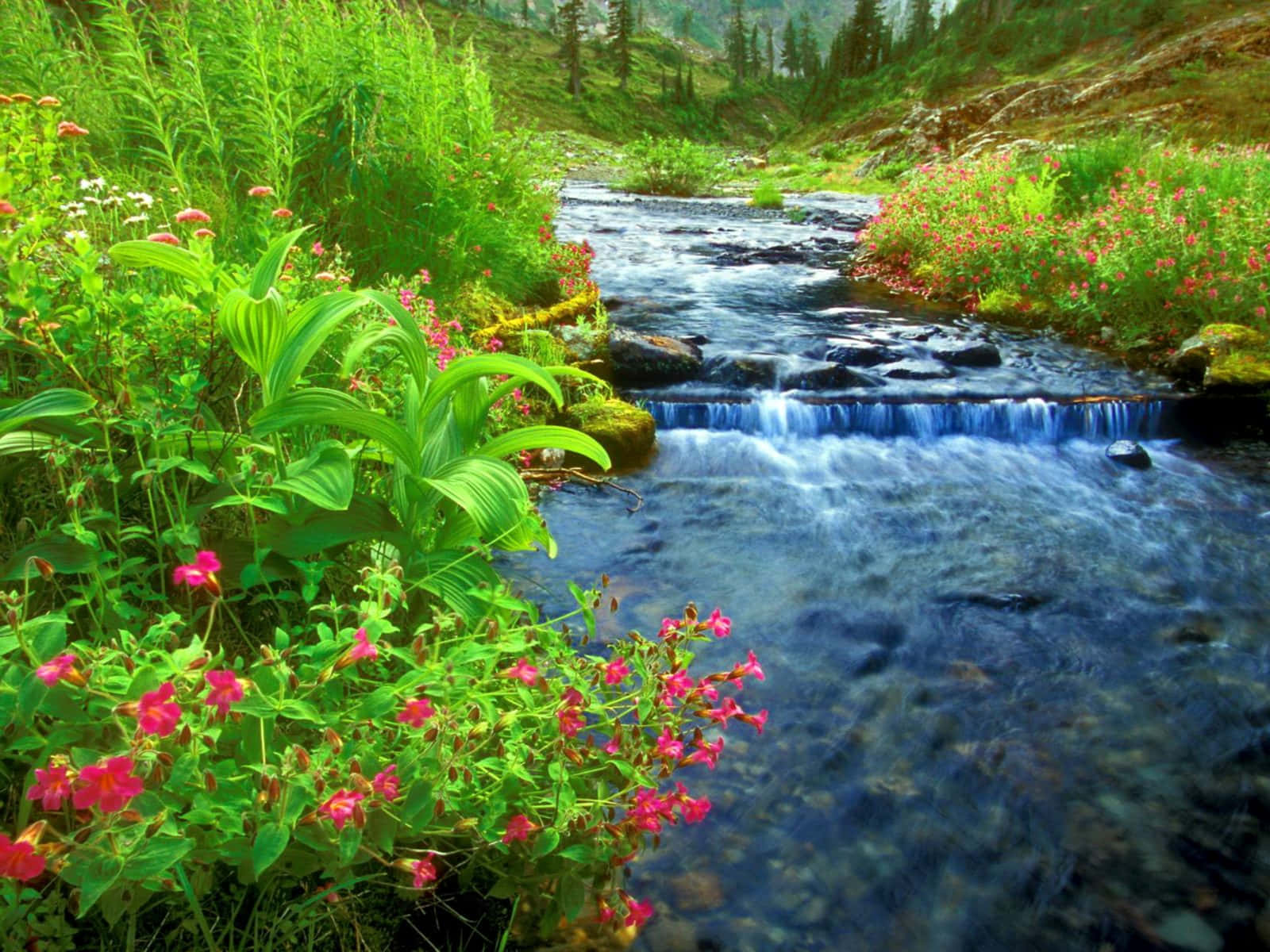 Fotografíade Un Río Cascada Con Flores Rosadas Fondo de pantalla