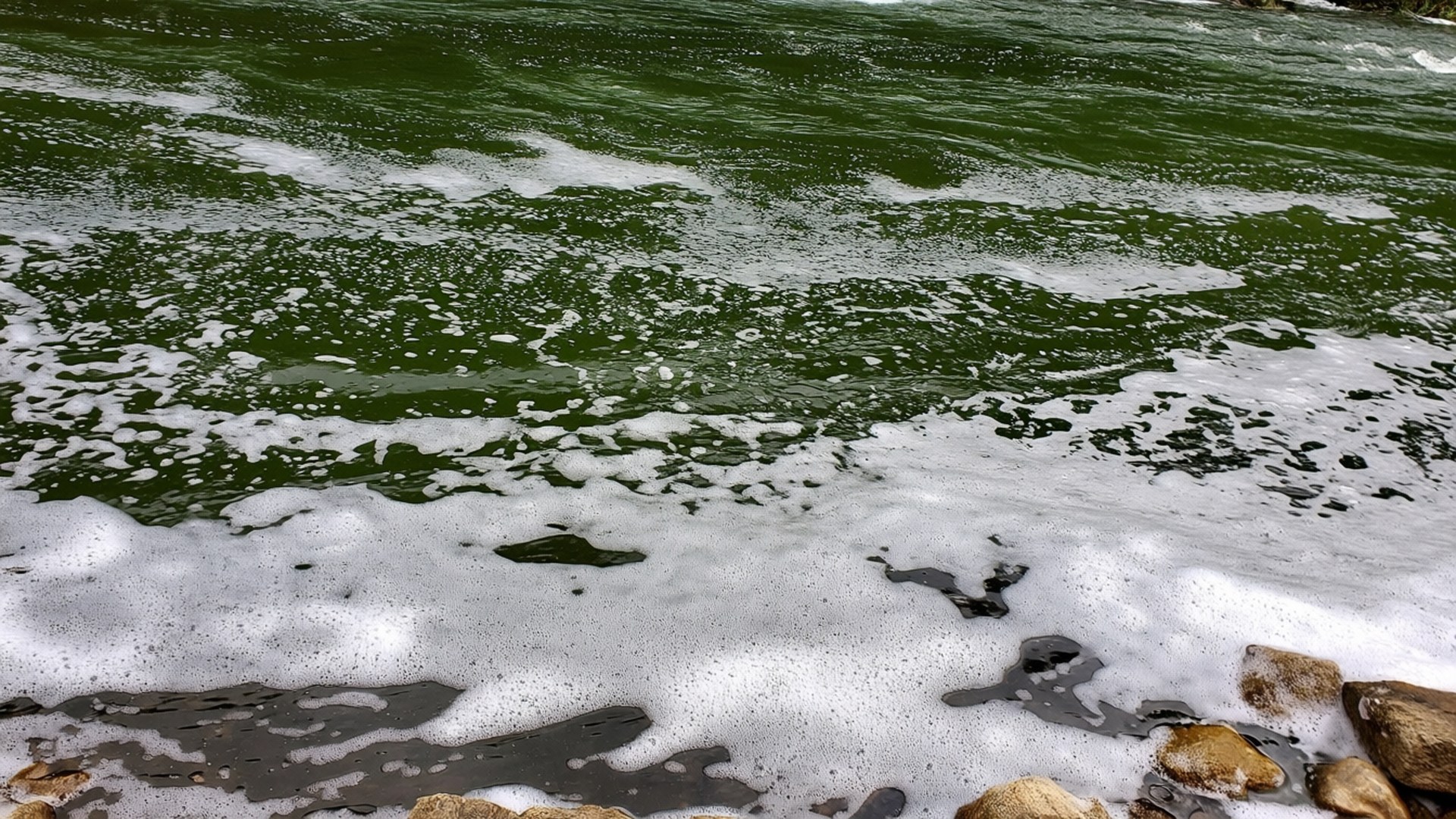 River Foam Pattern Wallpaper
