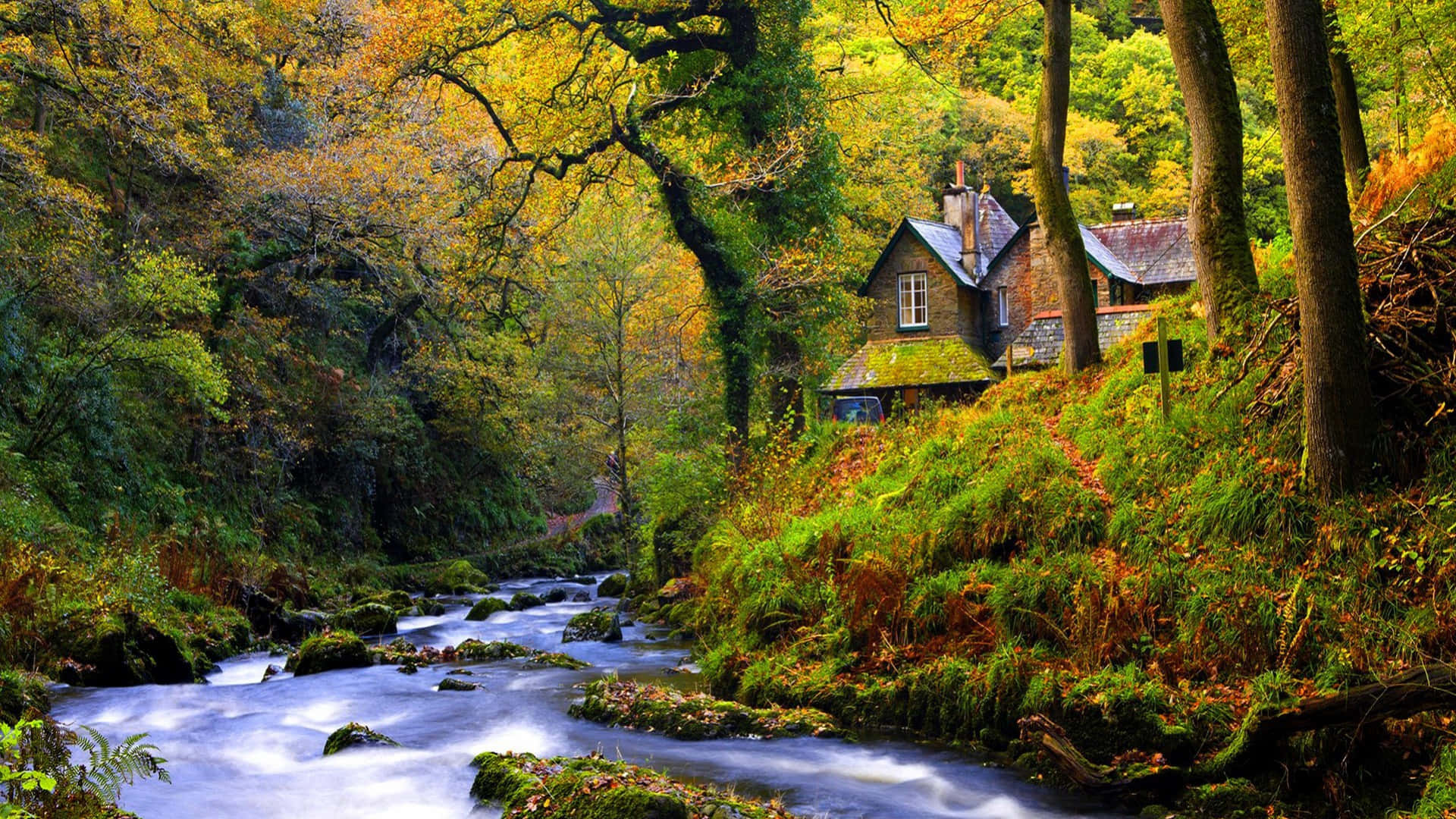 River Forest Cottage Nature Photography Wallpaper