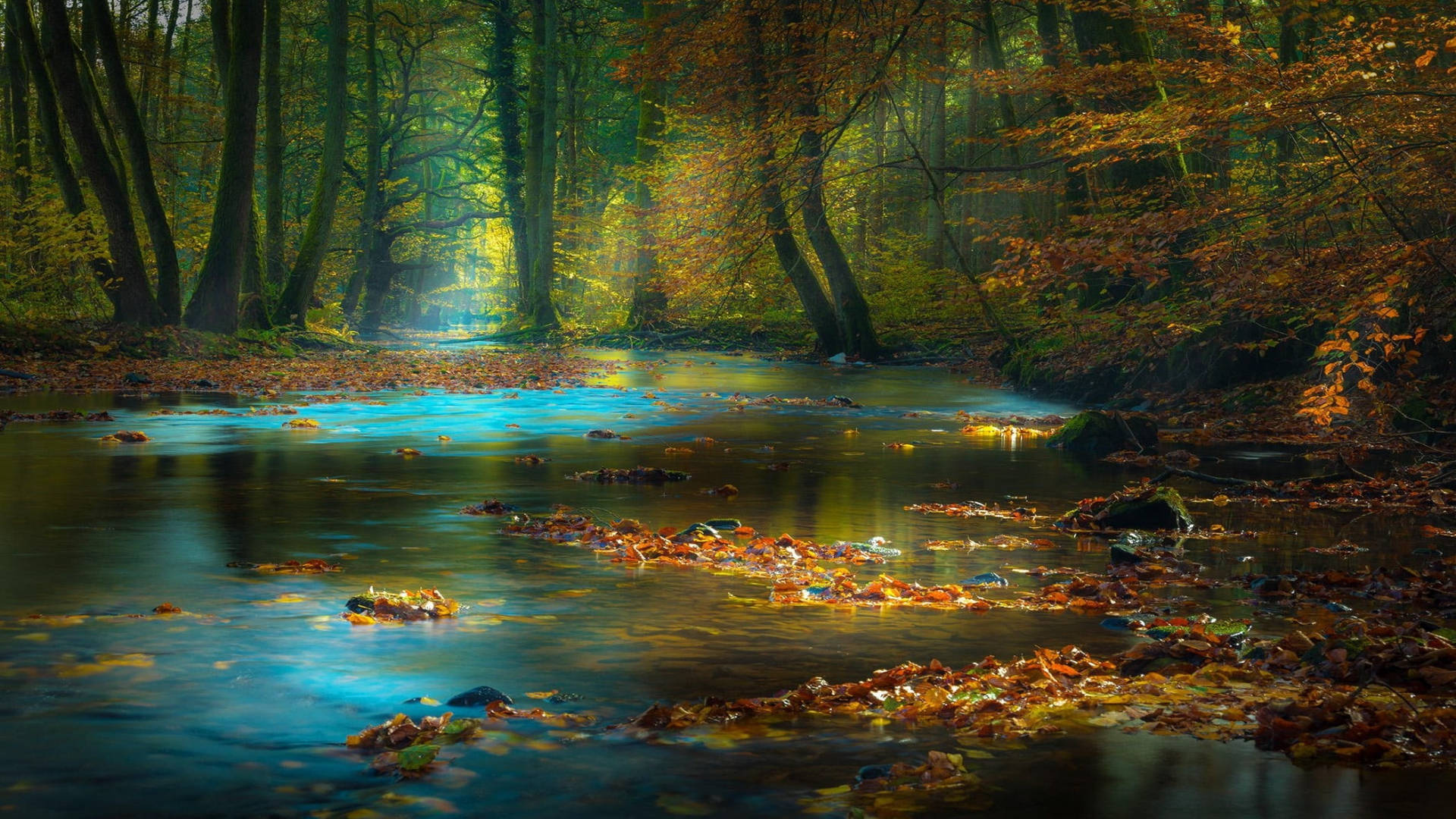 River In Autumn Macbook Wallpaper