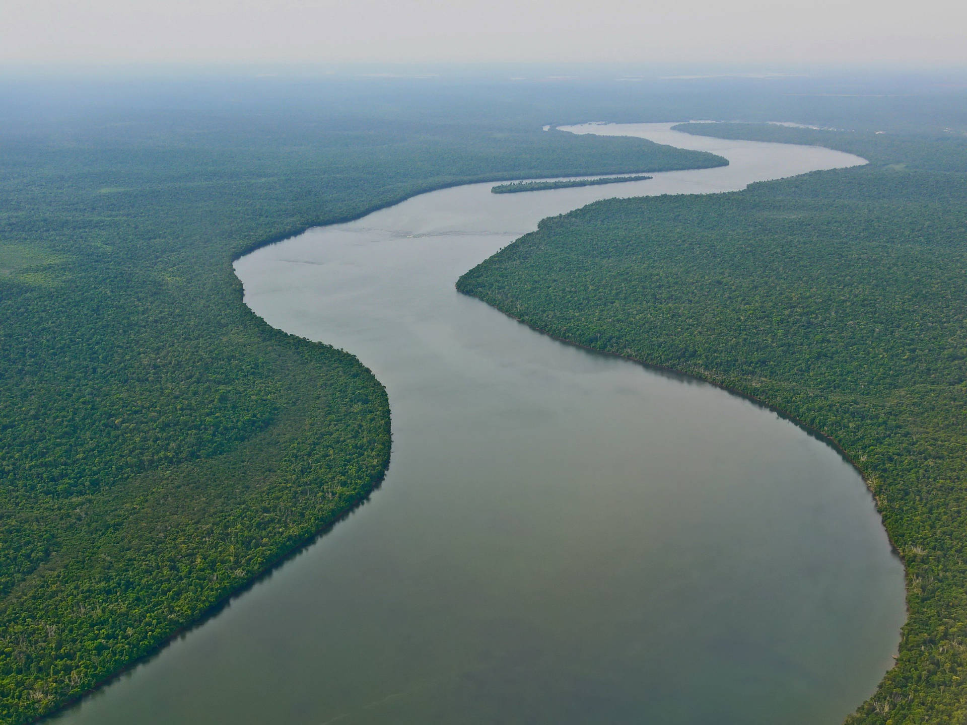 Majestic Amazon River, Heart of the Amazon Rainforest, Brazil Wallpaper