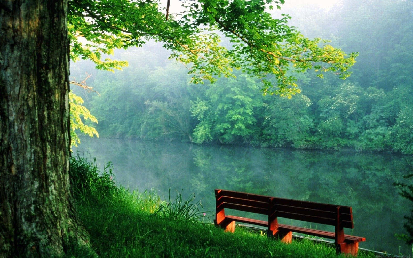 Download River Park Bench Nature Photography Wallpaper 