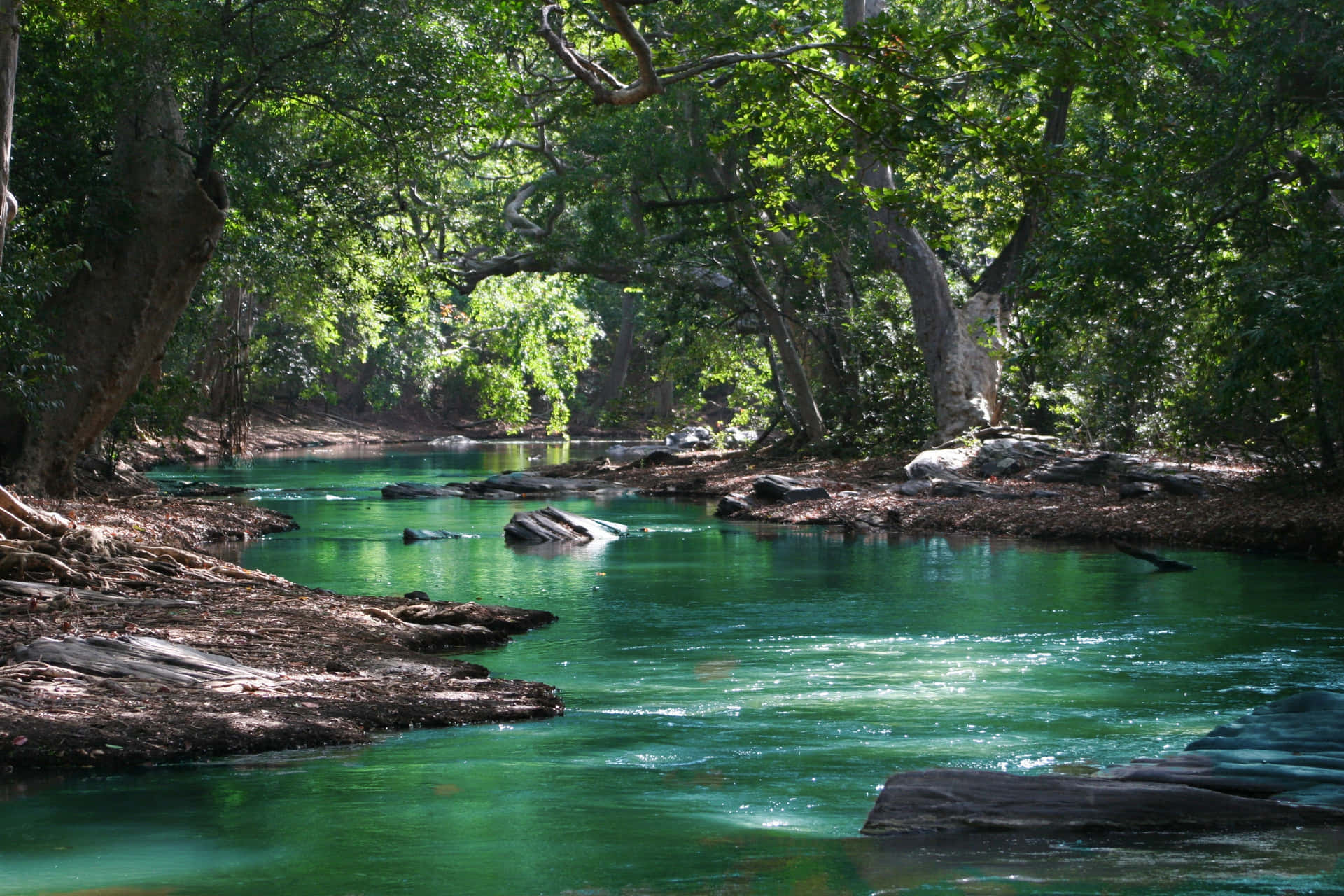 Einerfrischender Anblick - Ein Entspannender Fluss Umgeben Von Natürlicher Grünfläche.
