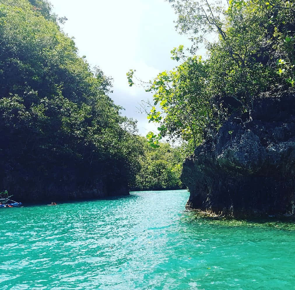 Disfrutandode La Belleza De La Naturaleza, Un Río Tranquilo.