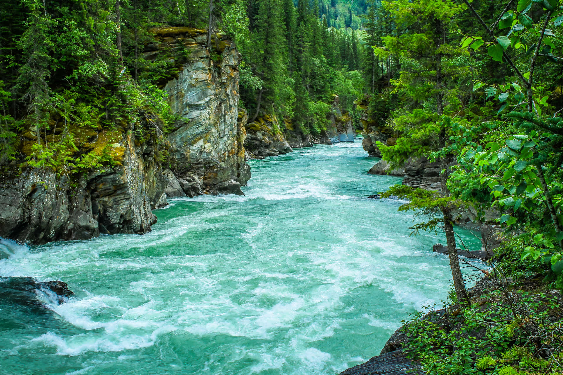 Friedlicherausblick Auf Einen Mäandernden Fluss In Der Natur