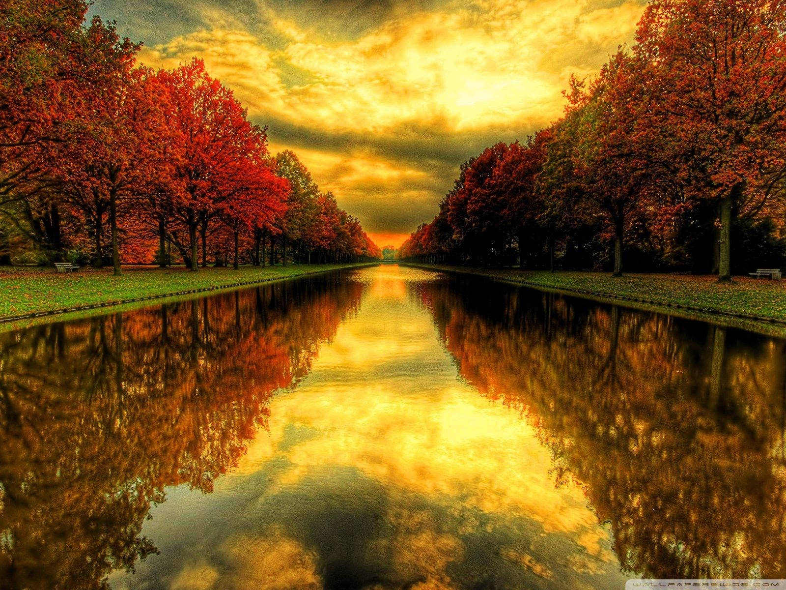 The river turns red amidst the Autumn season Wallpaper