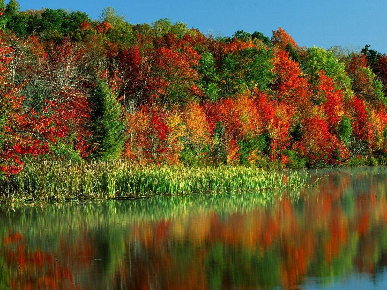 River Showing Seasons Wallpaper