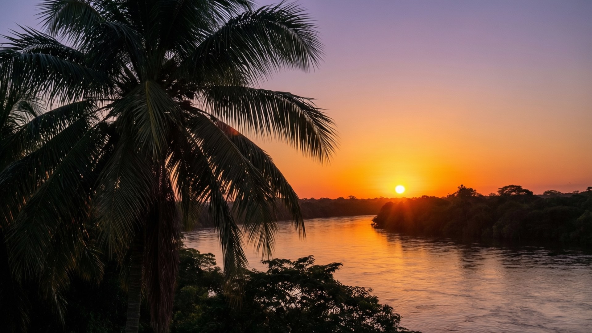 En rolig solnedgang over Suriname-elven med palmetre-silhuetter.