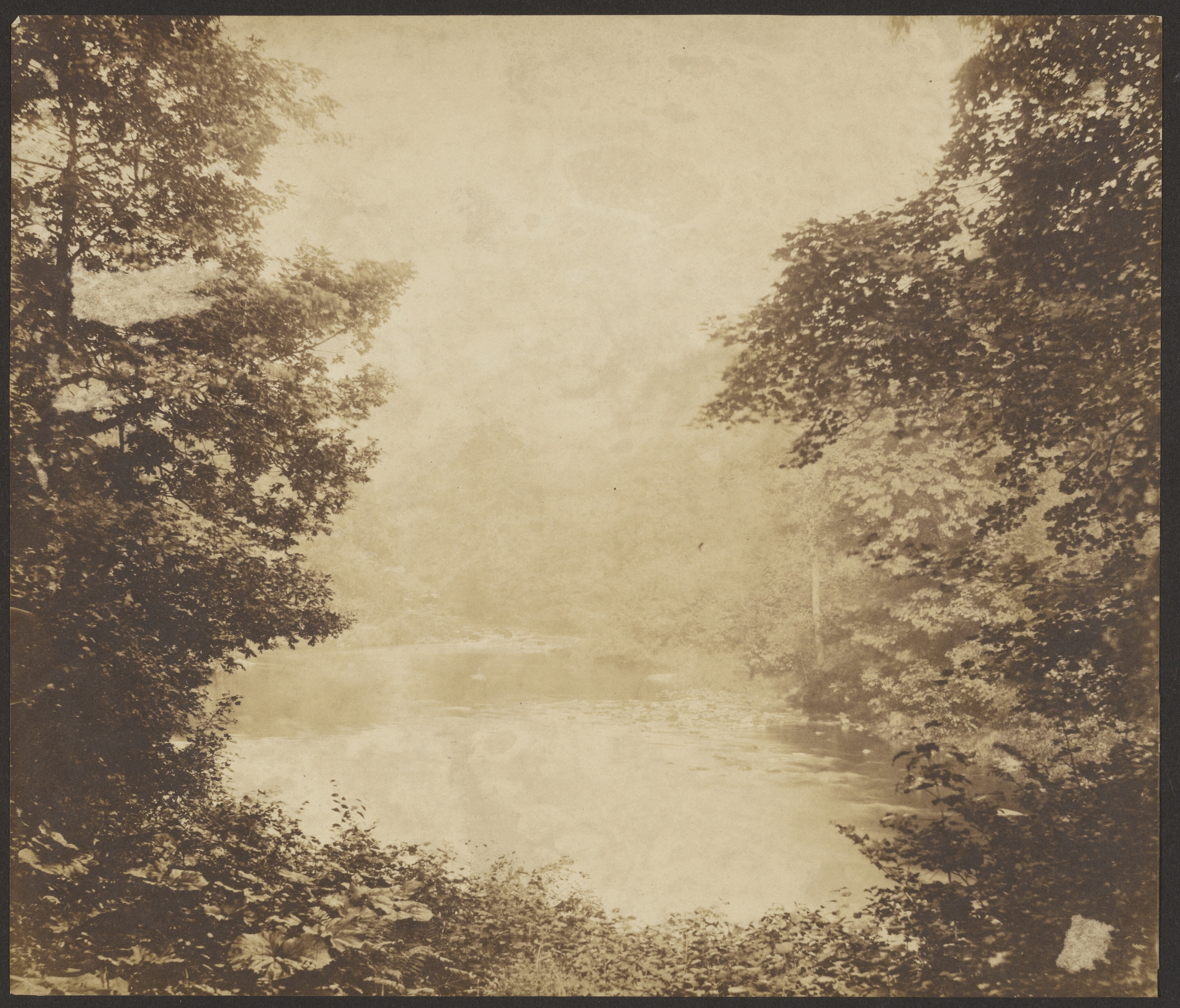 [River View] Wallpaper