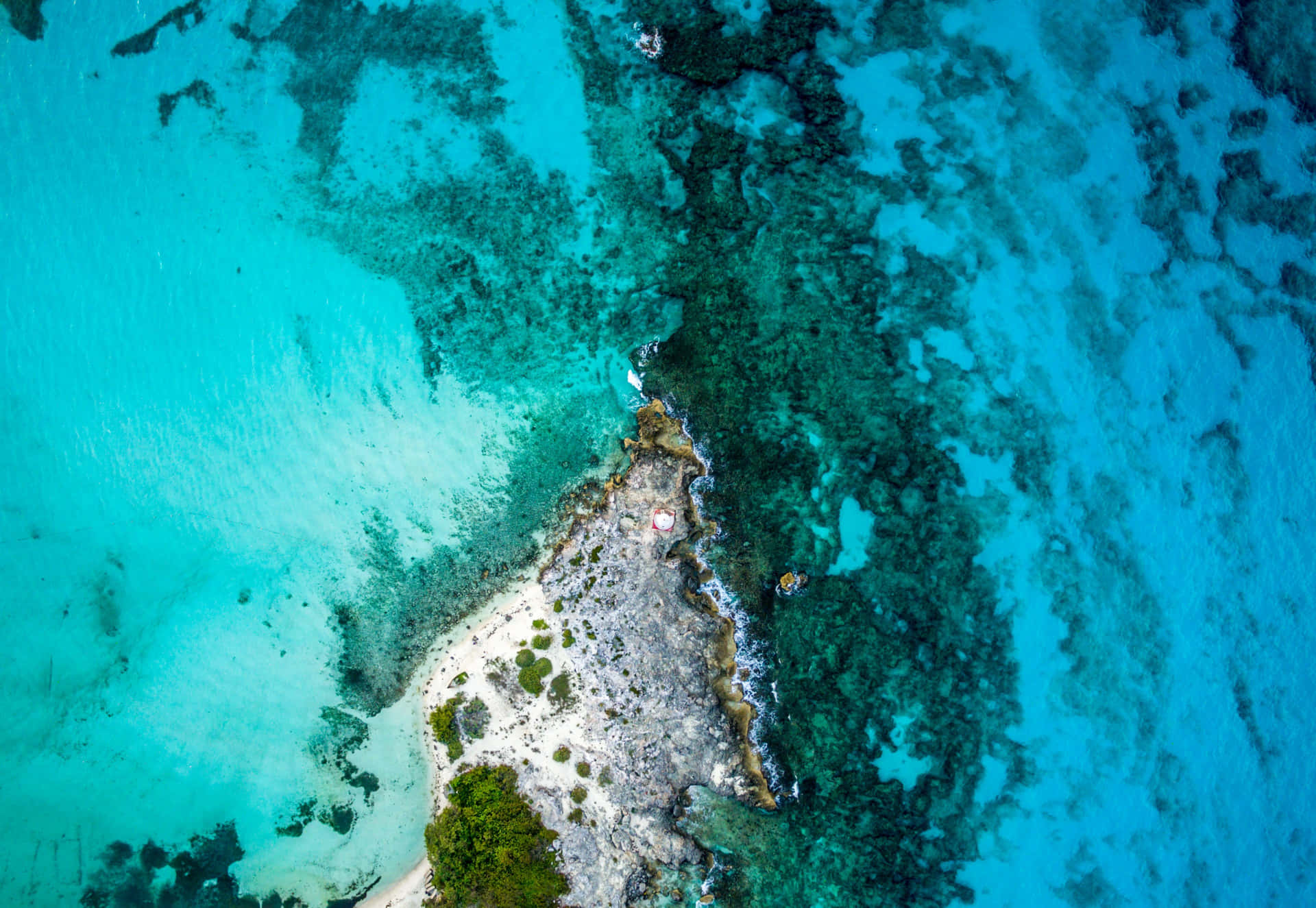 Riviera Maya Cancún, Mexico: Vis et romantisk landskab med dybe virvarer af teksturer og farver. Wallpaper