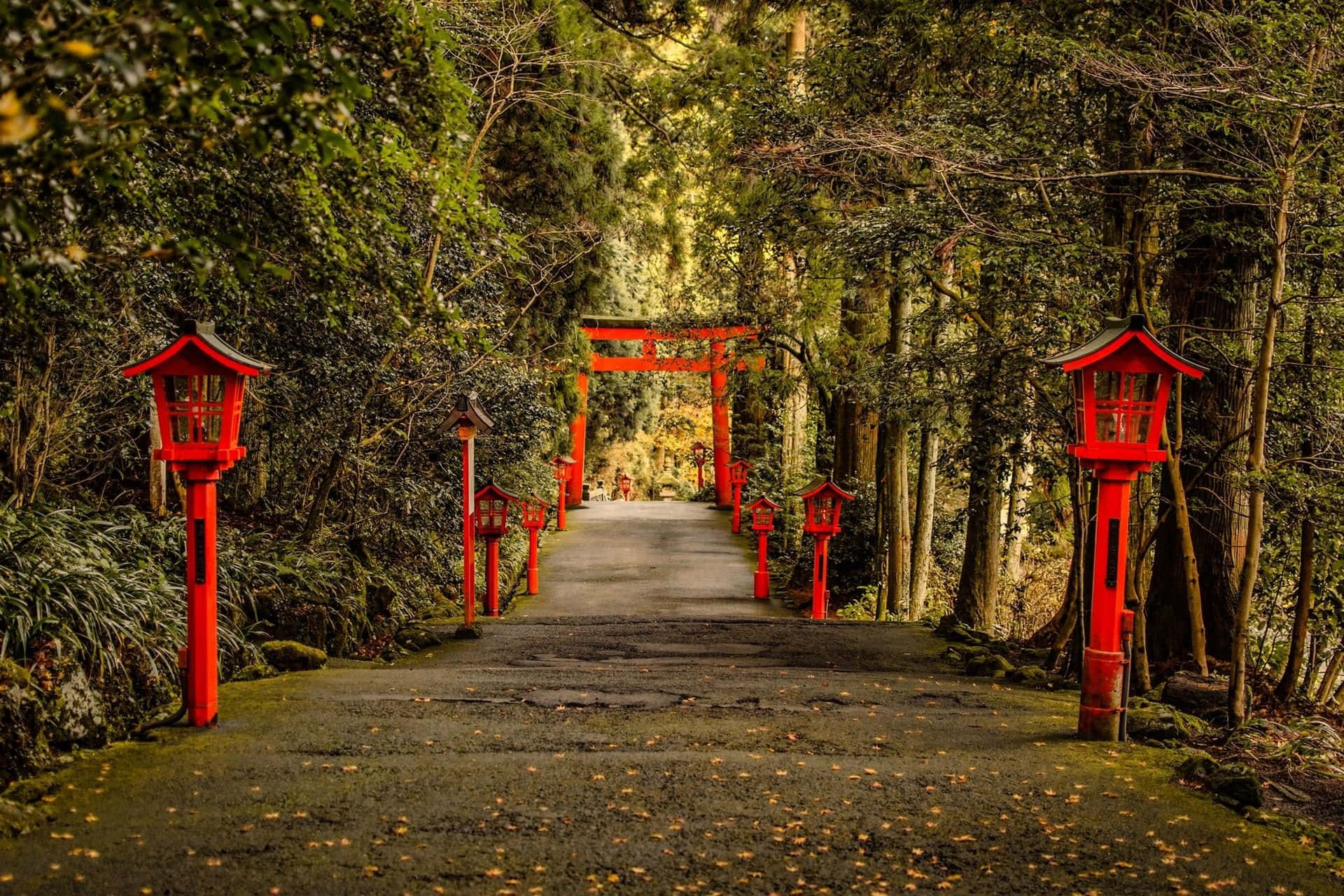 Fondode Pantalla De Hakone Shrine Road En Japón.