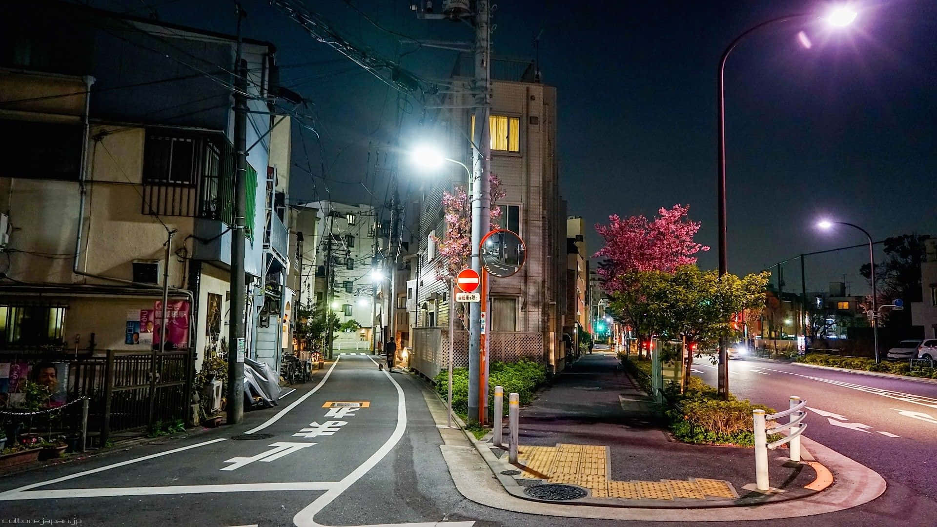 Street Lights On The Road In Japan
