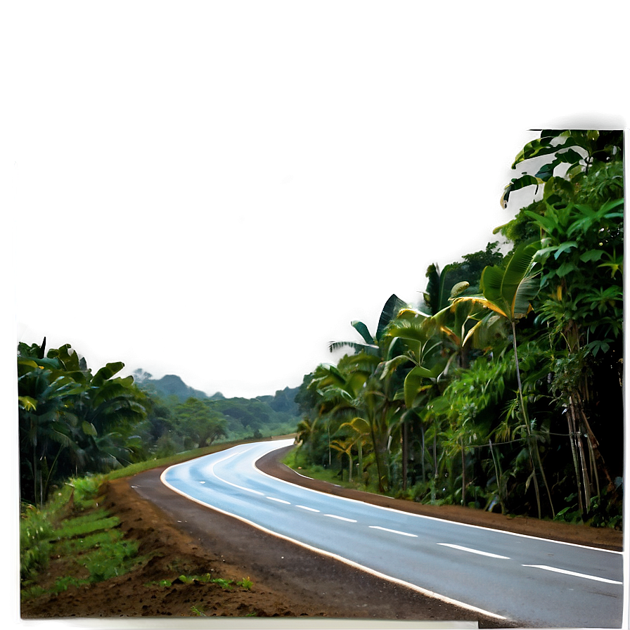 Road In Rainforest Png Jhe81 PNG