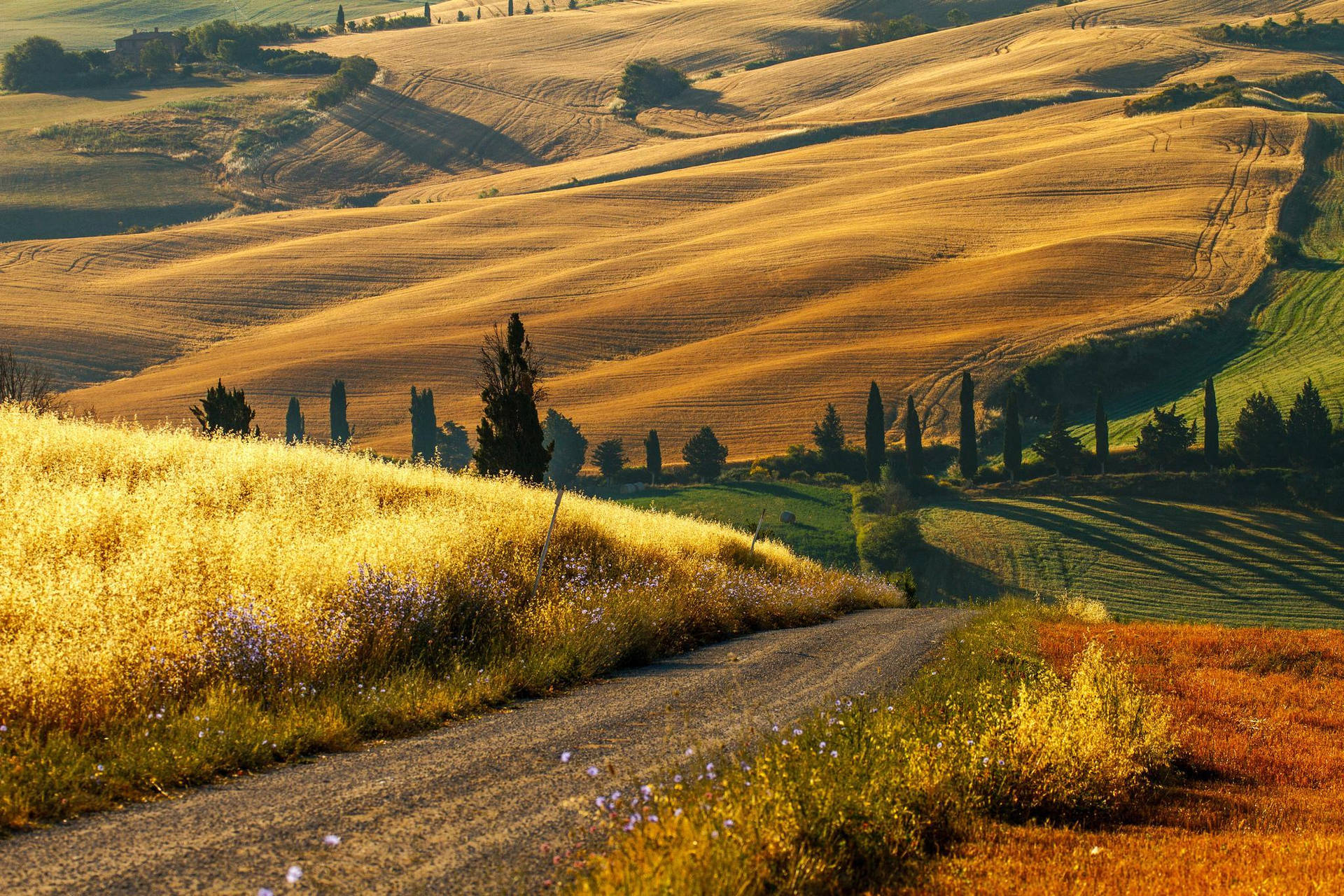 Serene Tuscan Hills Wallpaper