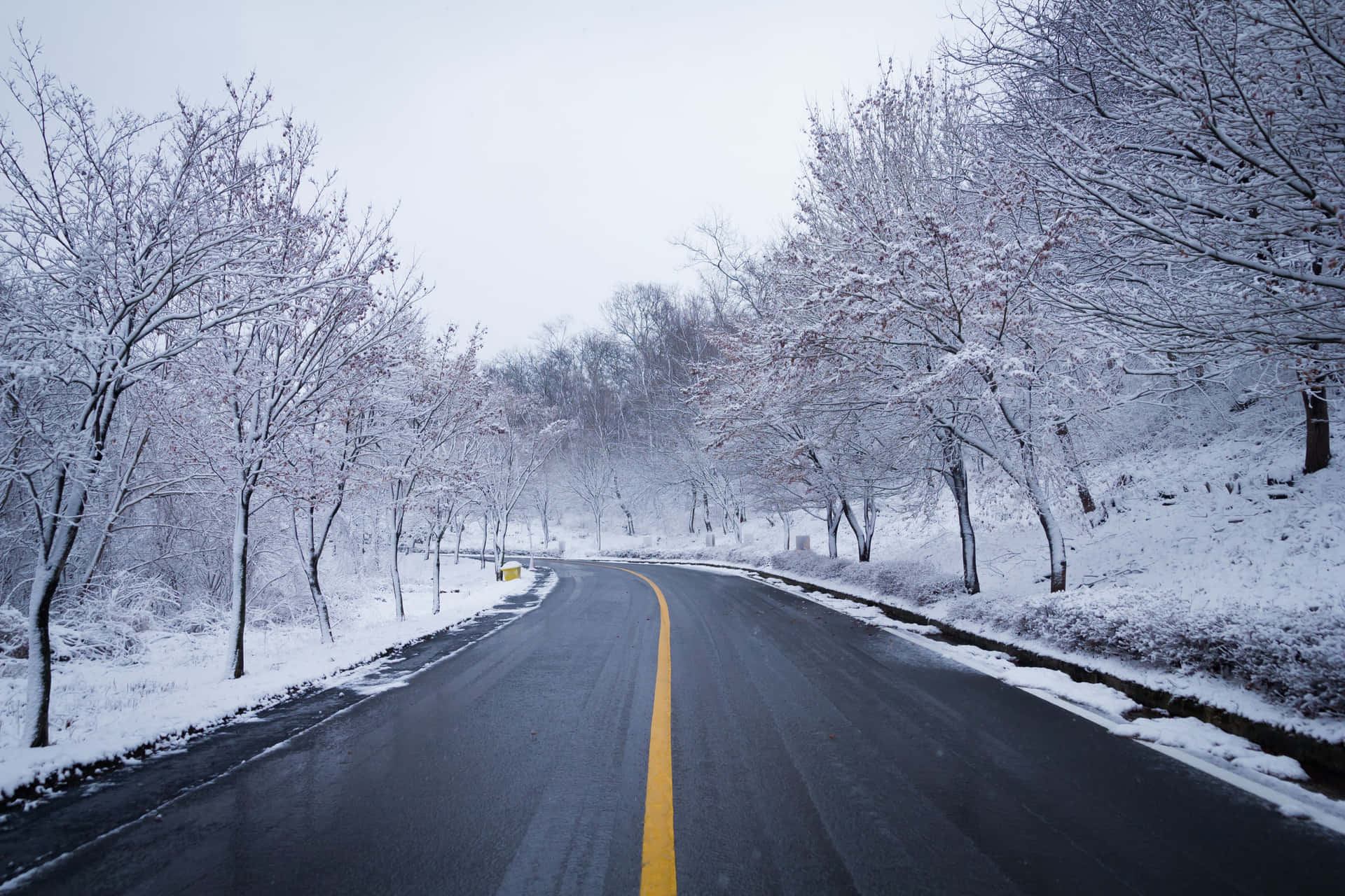 Eineschneebedeckte Straße