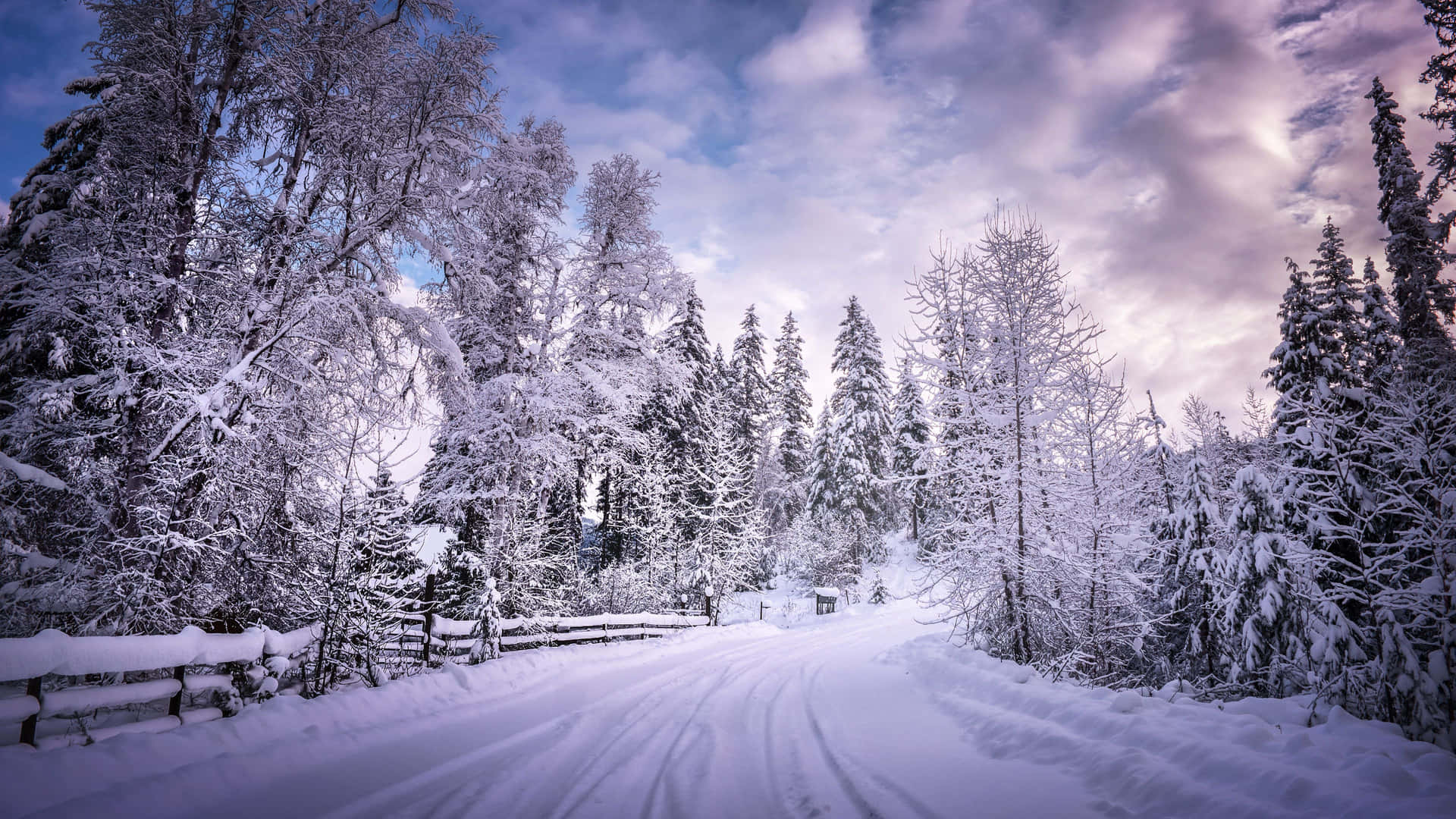 A Snow Covered Road In The Forest