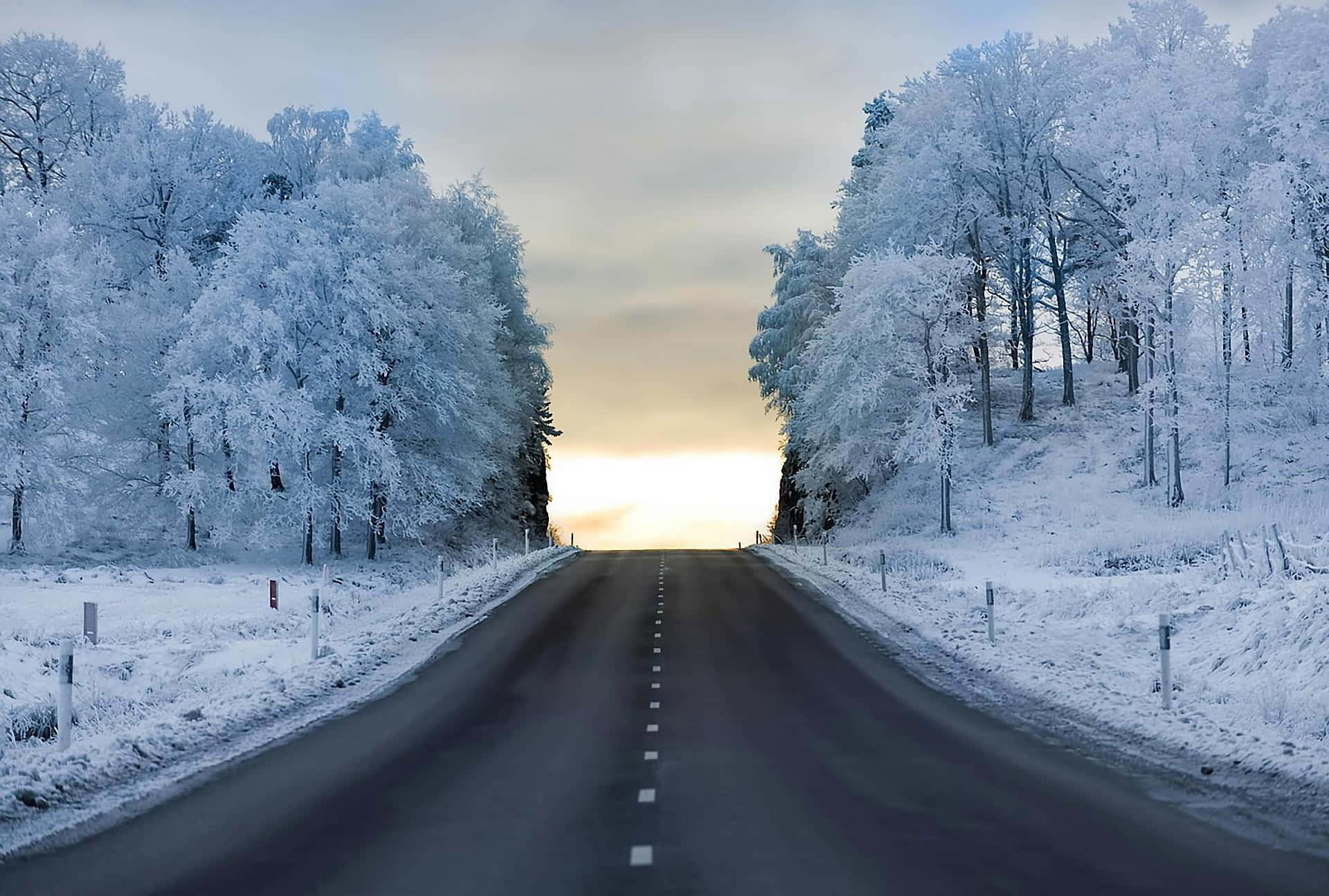 Einestraße Mit Schneebedeckten Bäumen Und Einer Sonne, Die Hindurch Scheint.