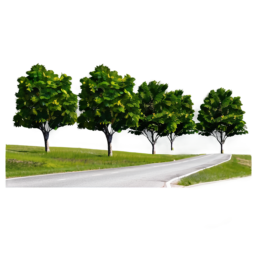 Road With Trees Png Hwu PNG
