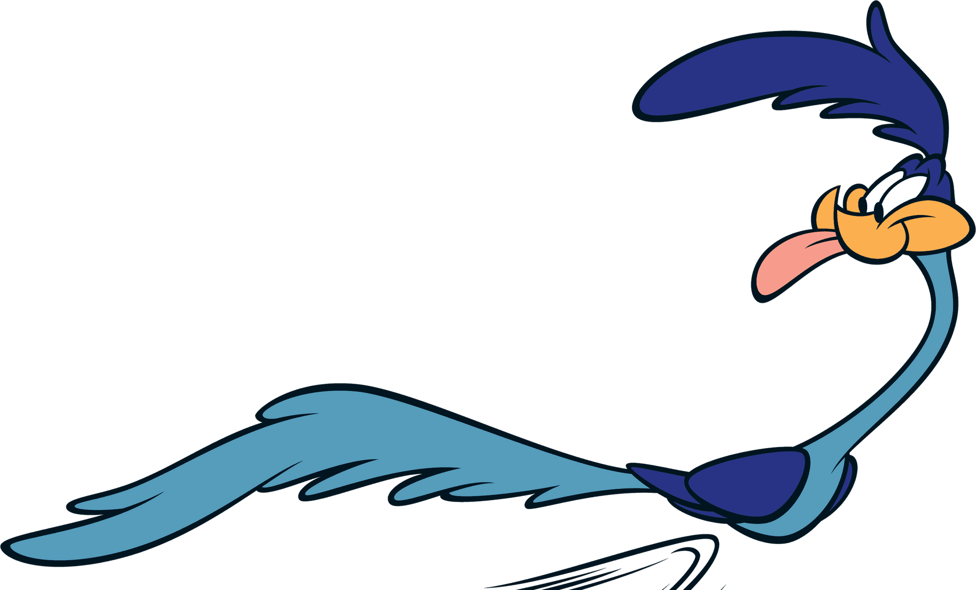 Roadrunner Looney Tunes Character PNG