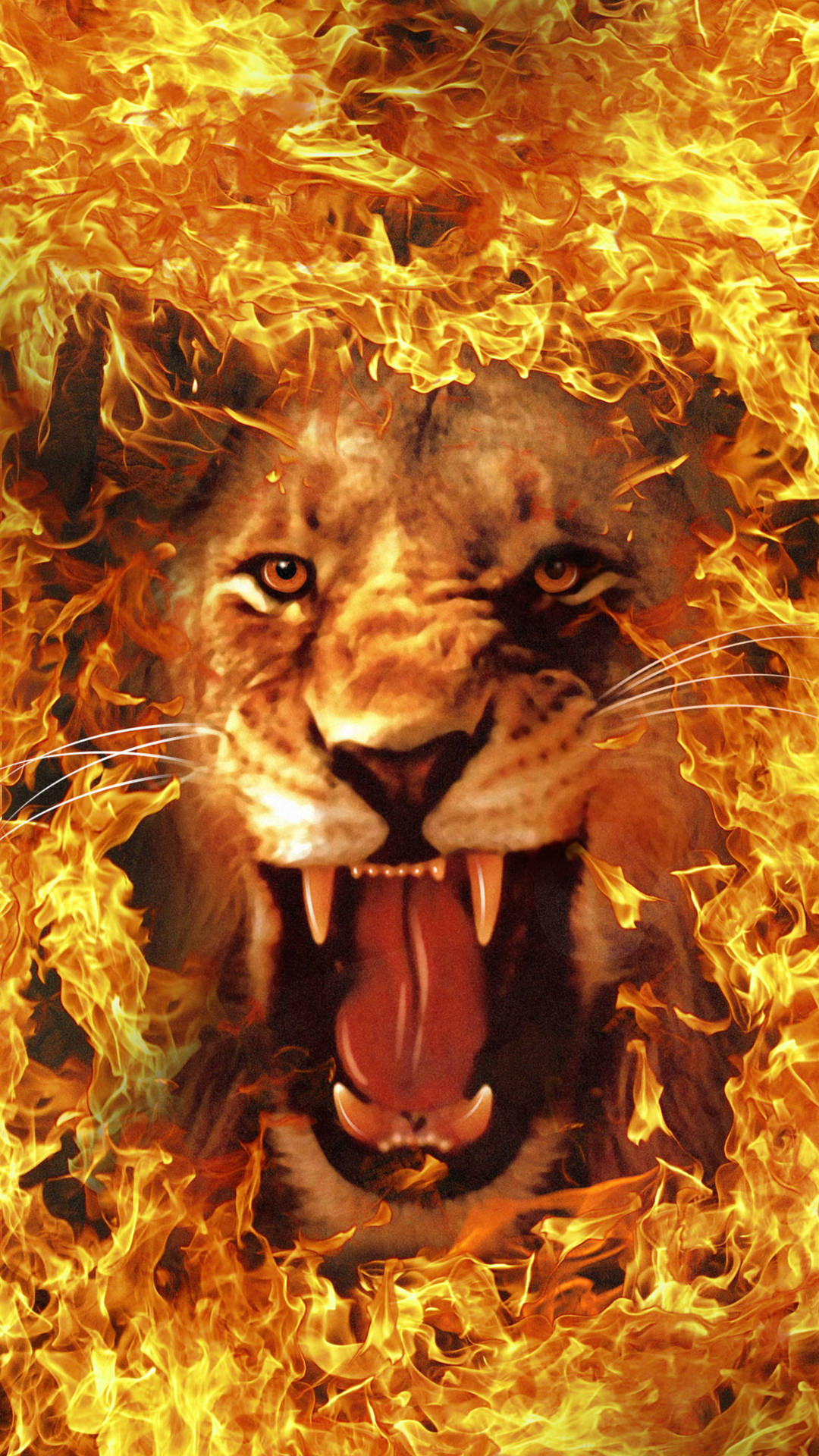 Roaring Fire Lion With Flame Border Wallpaper
