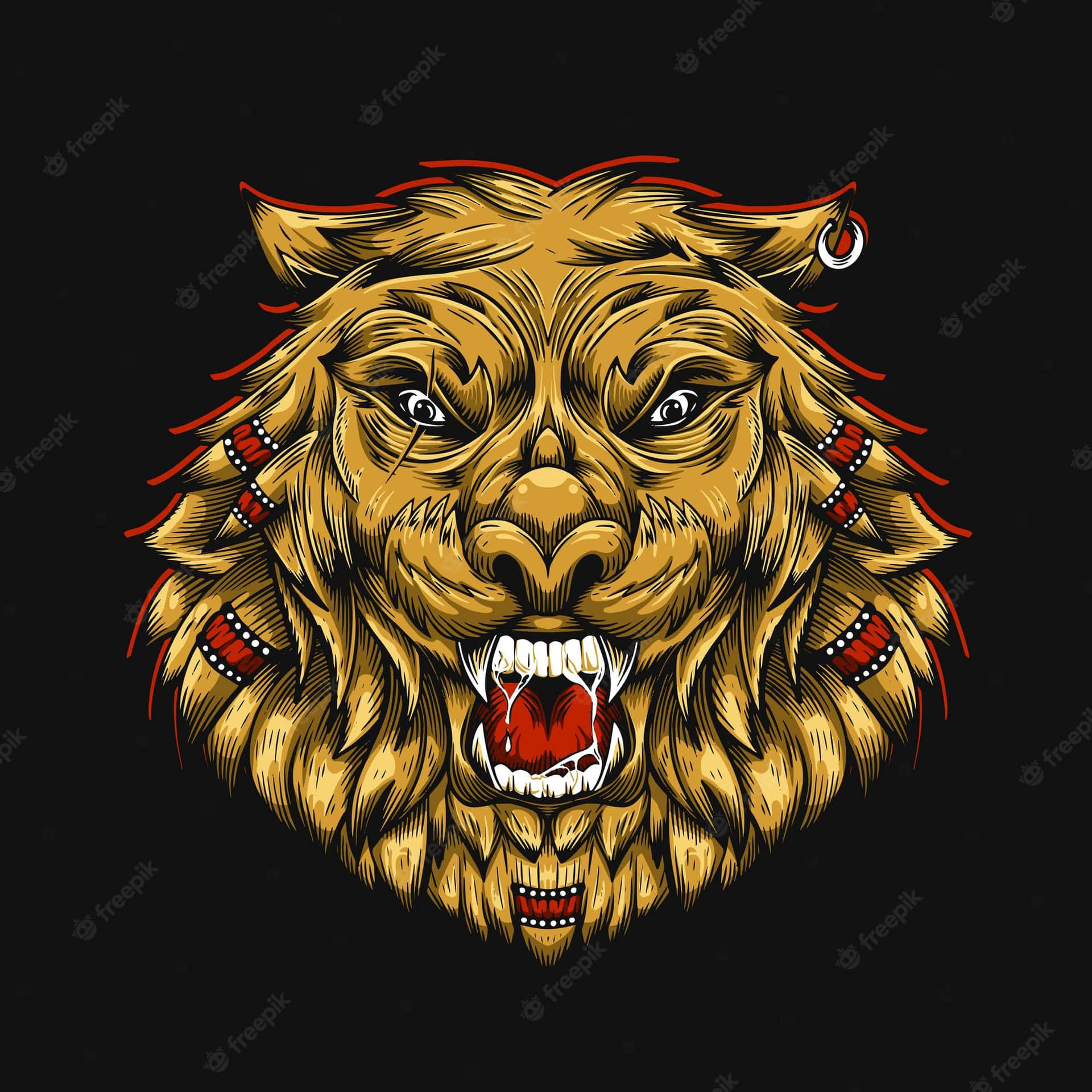 African lion HD wallpapers | Pxfuel