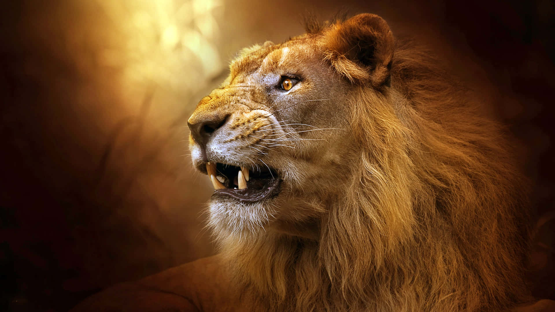 “Modig og magtfuld, den brølende løve” Wallpaper