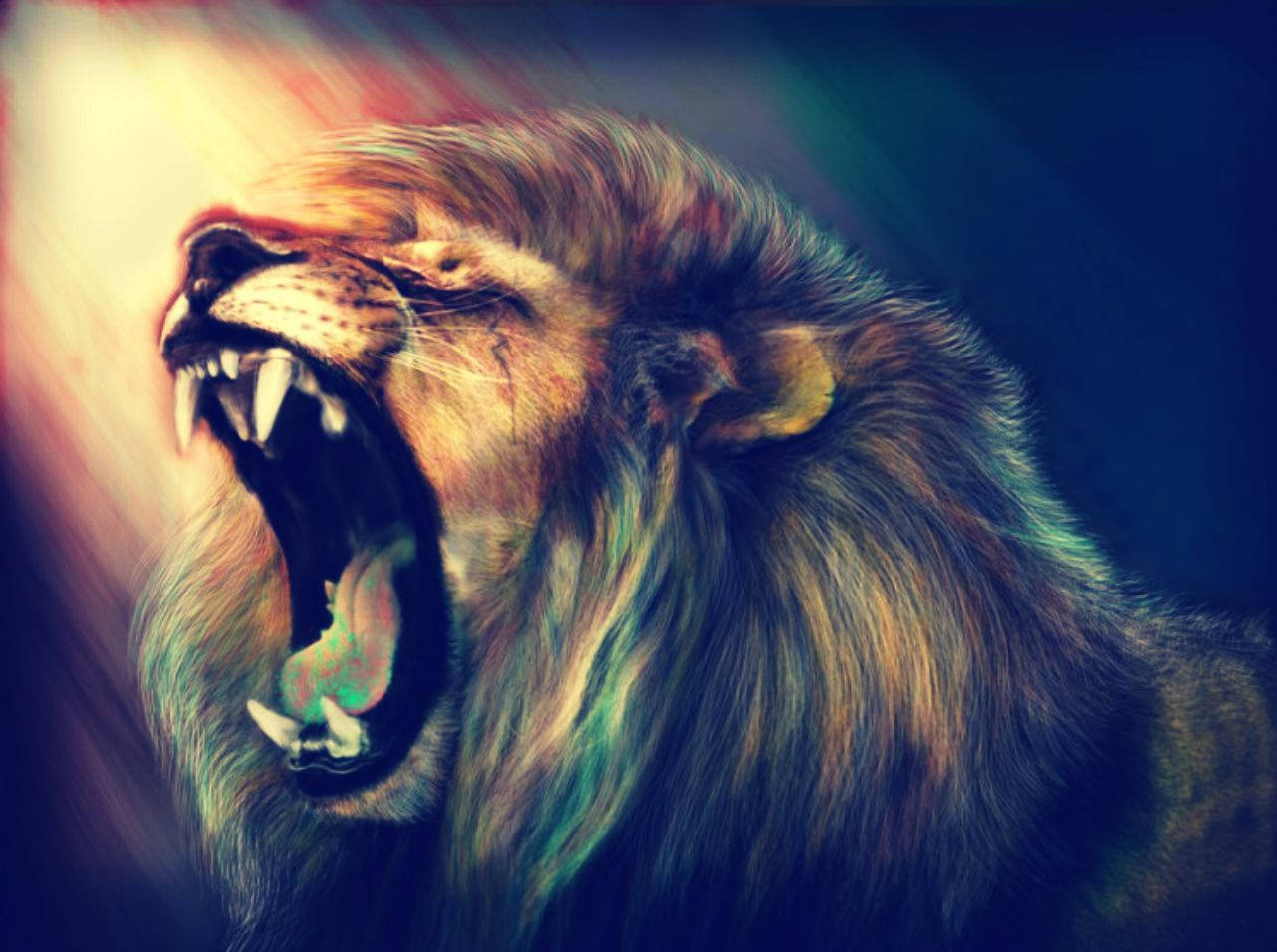 A lion roars in the wild Wallpaper