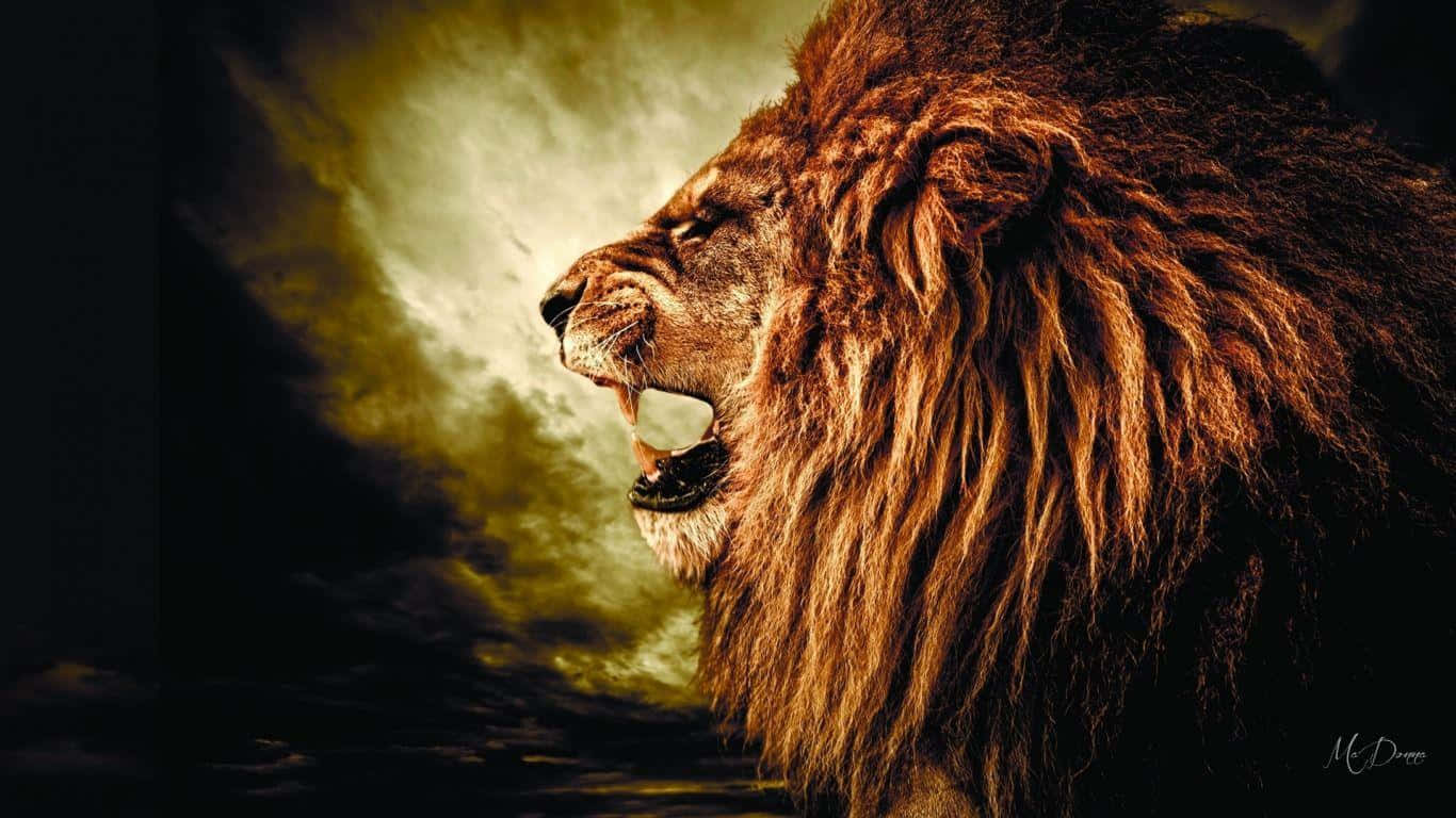 Roaring Lion Ready to Pounce Wallpaper