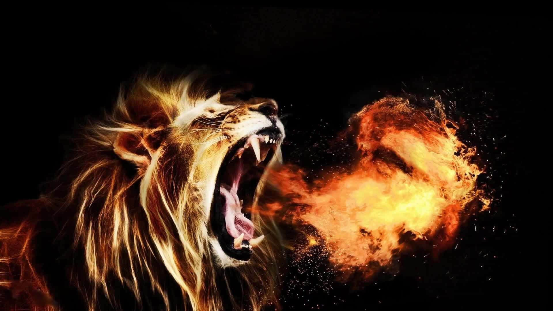 Roaring Lion Breathing Fire Wallpaper