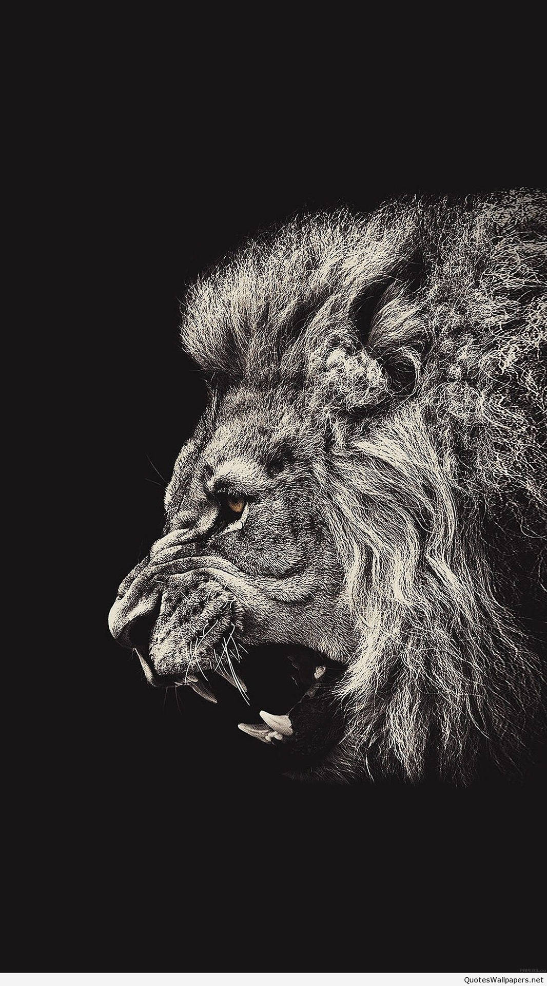 Roaring Lion Art Iphone Wallpaper