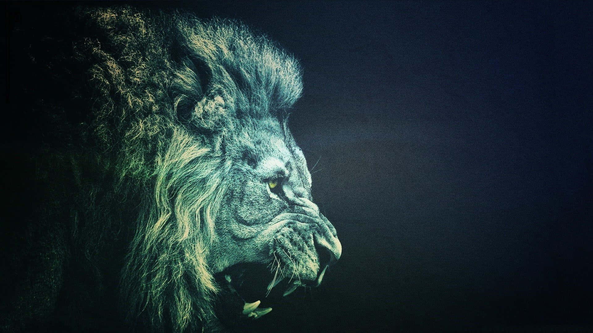 Roaring Lion With Scrunched Up Face Wallpaper