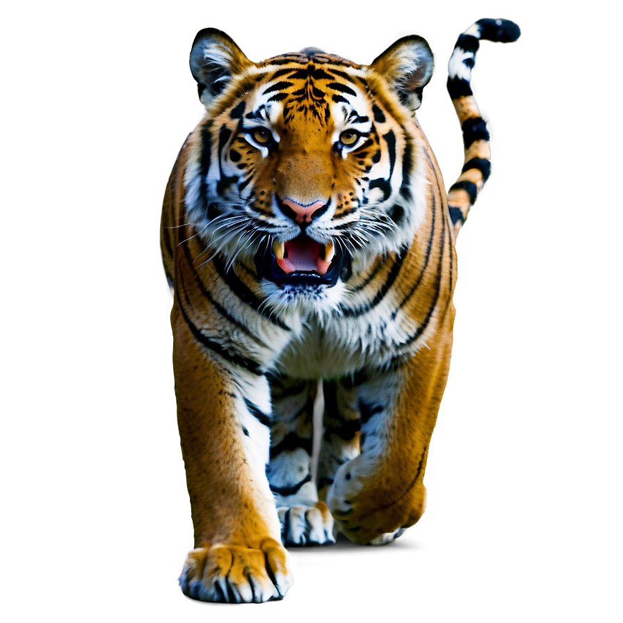 Roaring Tiger In Jungle Png Kyk63 PNG