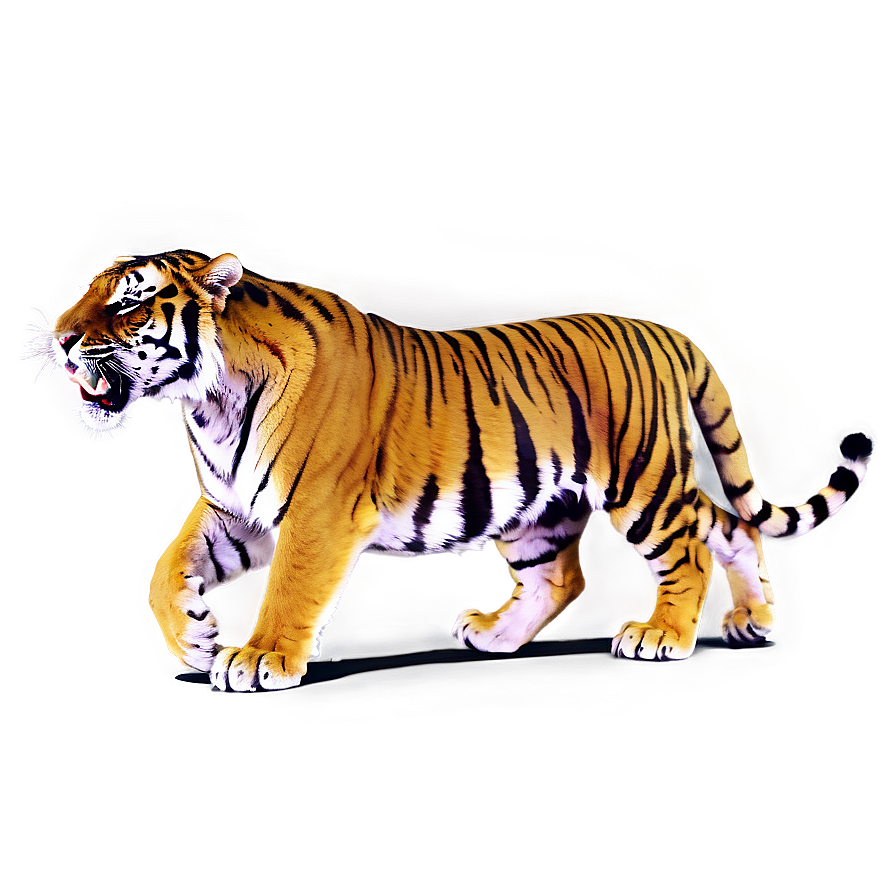 Roaring Tiger Png Ois PNG