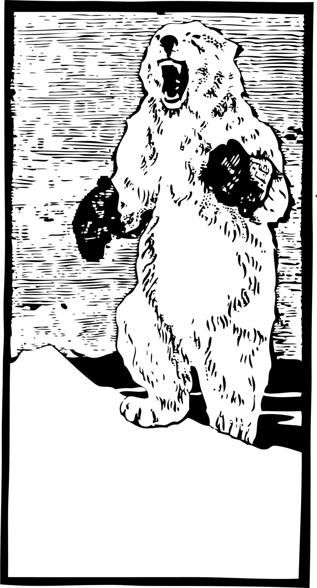Roaring_ Polar_ Bear_ Graphic PNG