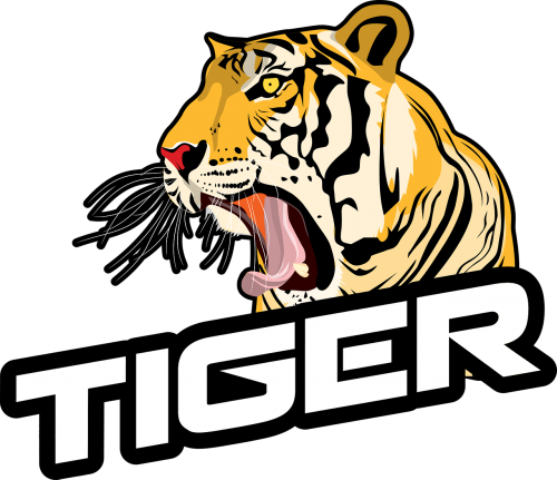 Roaring_ Tiger_ Graphic PNG