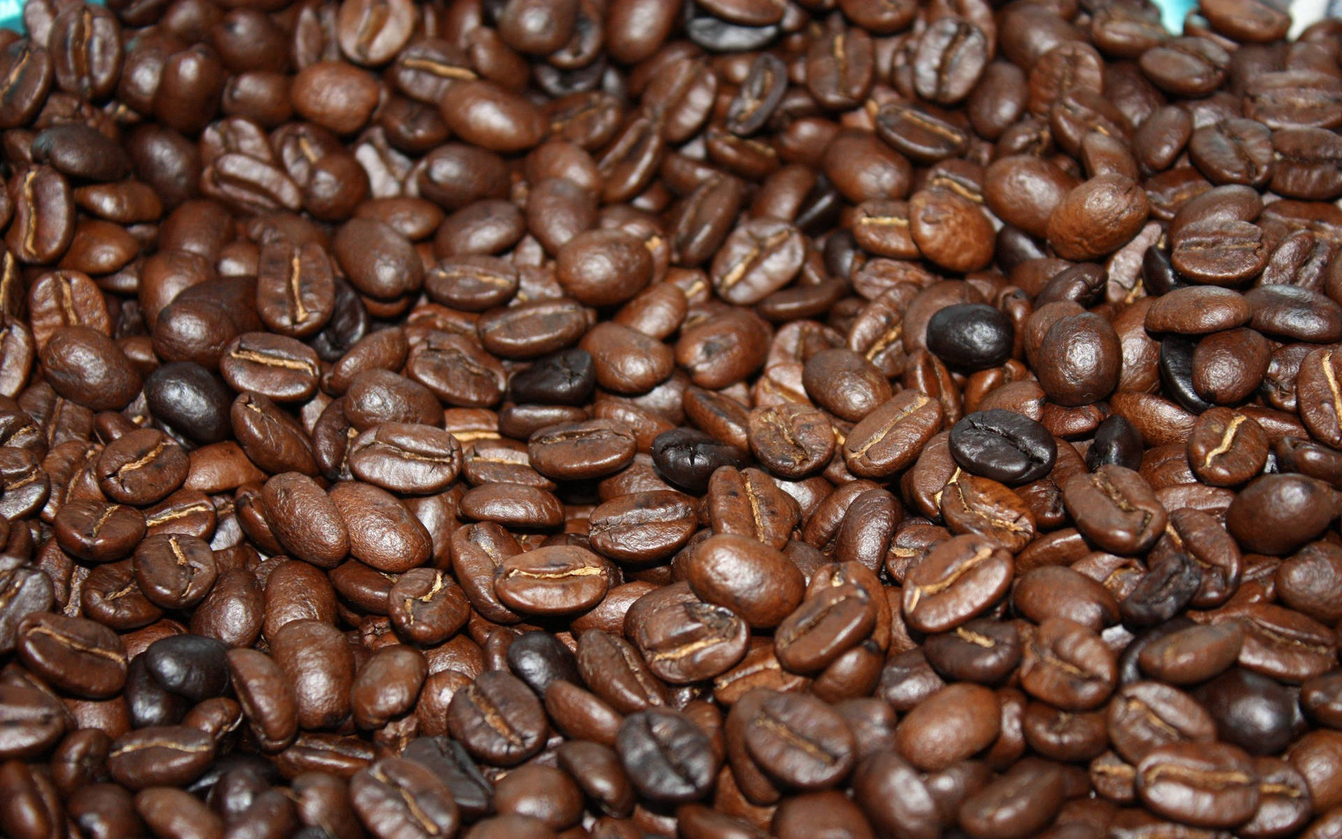 Rich and flavorful roasted coffee beans Wallpaper