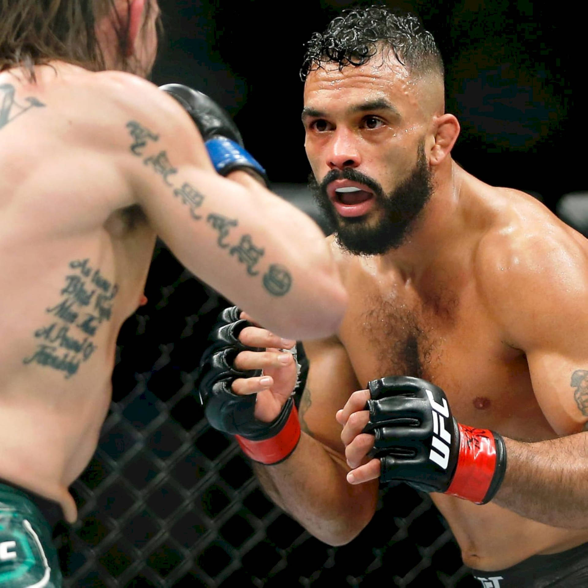 Rob Font During Fight With Simon Wallpaper