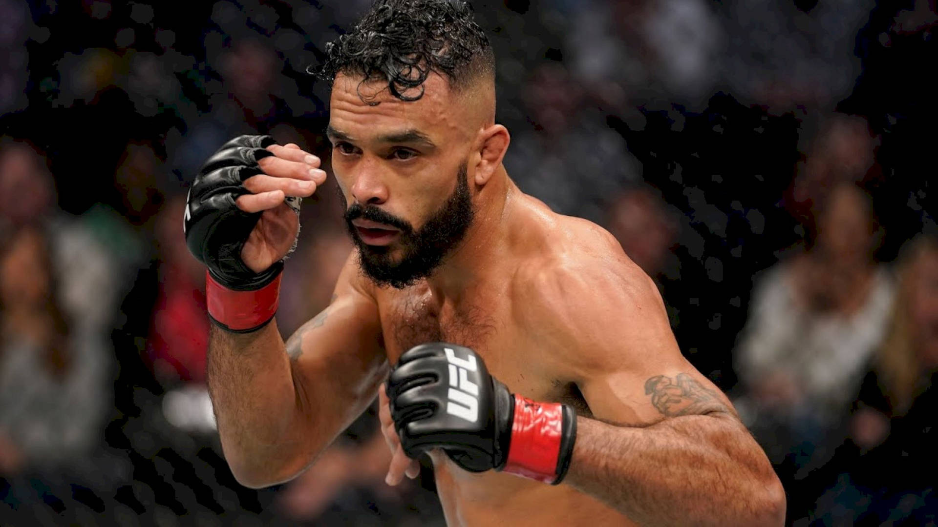 Rob Font In Action Wallpaper
