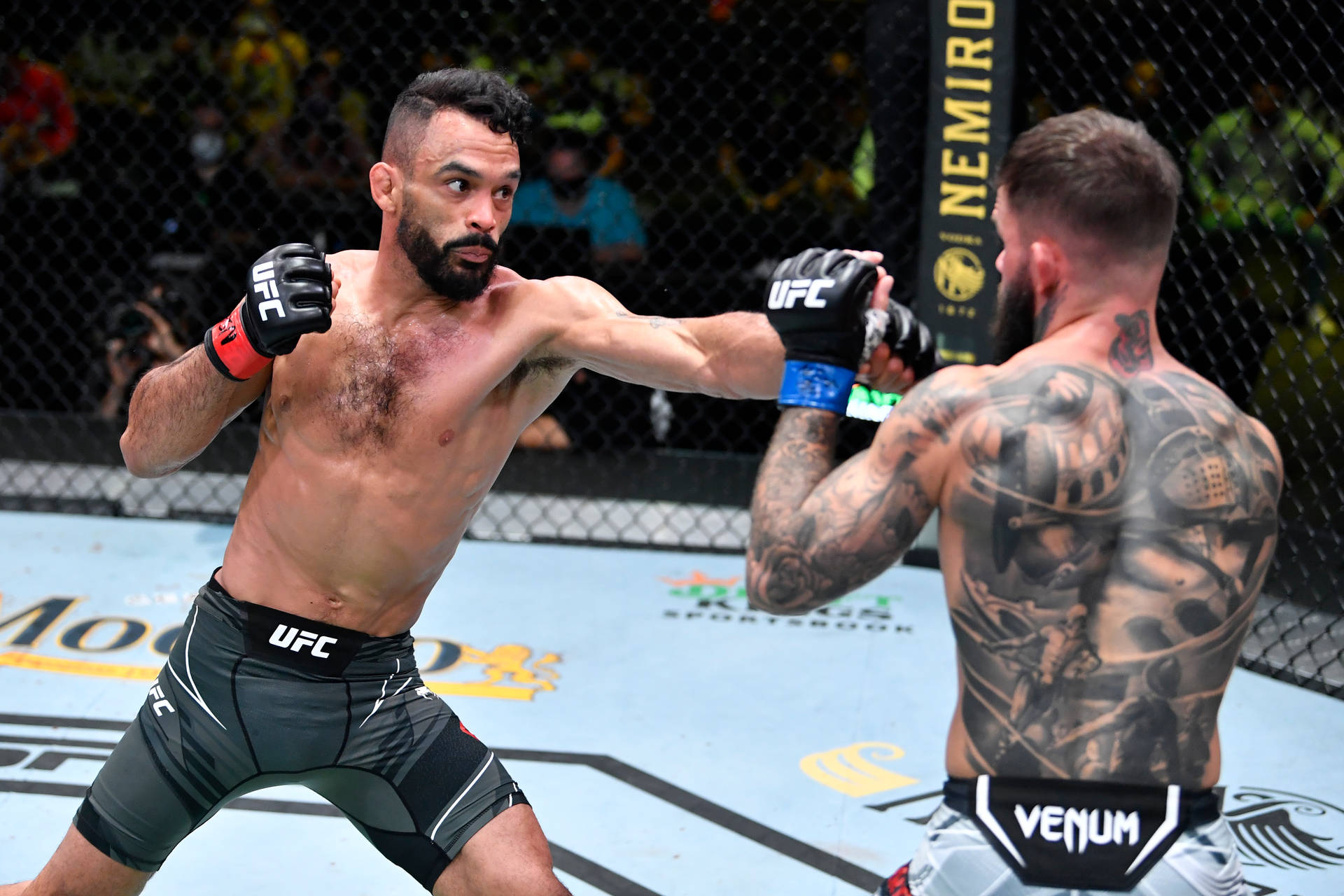 Rob Font Punching His Opponent Wallpaper