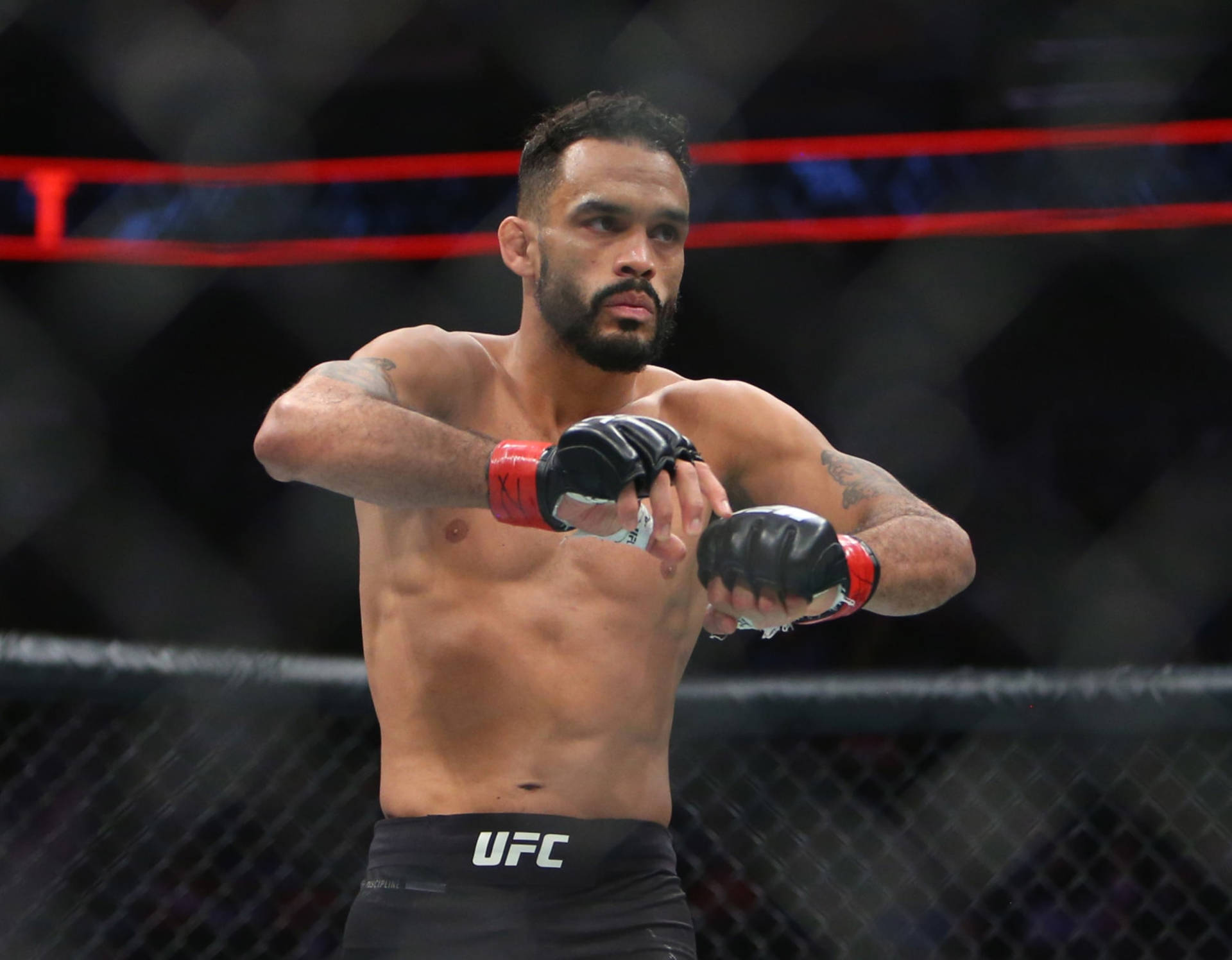 Rob Font With A Serious Expression Wallpaper
