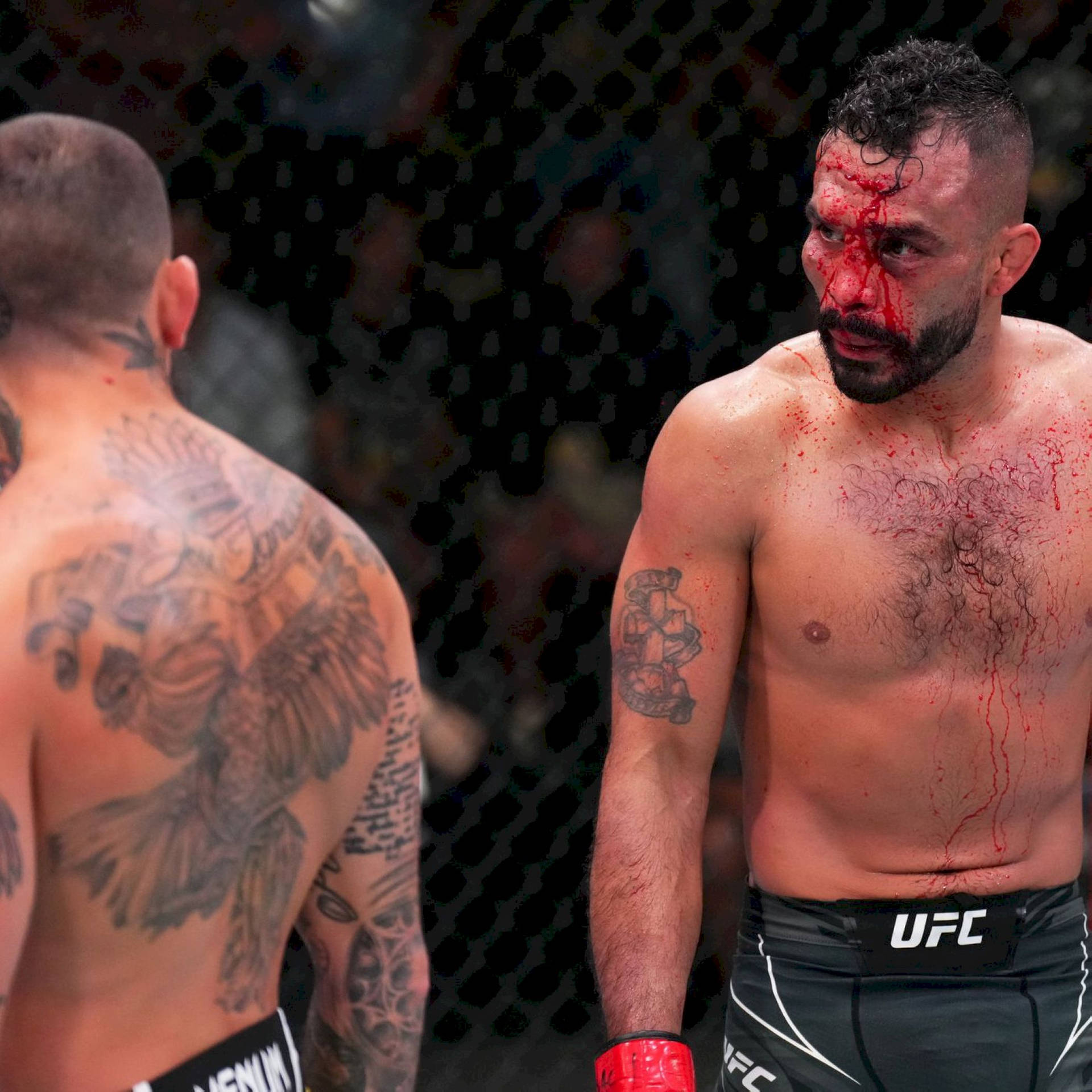 Rob Font With Bloody Face Wallpaper